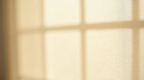 Moustiquaires sur mesure pour un confort optimal et une qualité irréprochable
